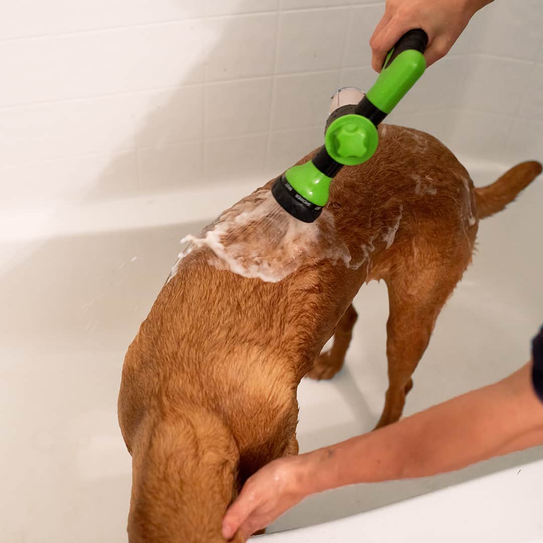 JetPup™ - Was je hond moeiteloos, overal en altijd